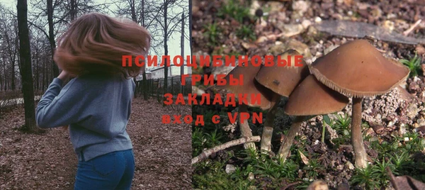 экстази Касимов