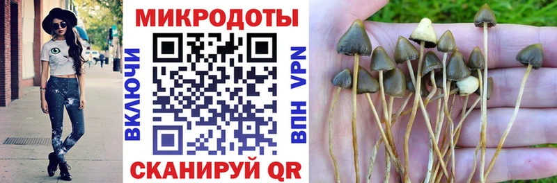 Галлюциногенные грибы MAGIC MUSHROOMS  Купить  Боготол 